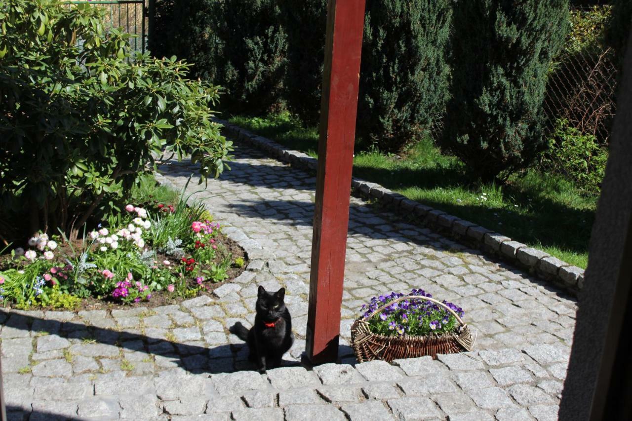 Pokoj Kameralny- De Luxe Z Oddzielnym Wejsciem Karpacz Extérieur photo