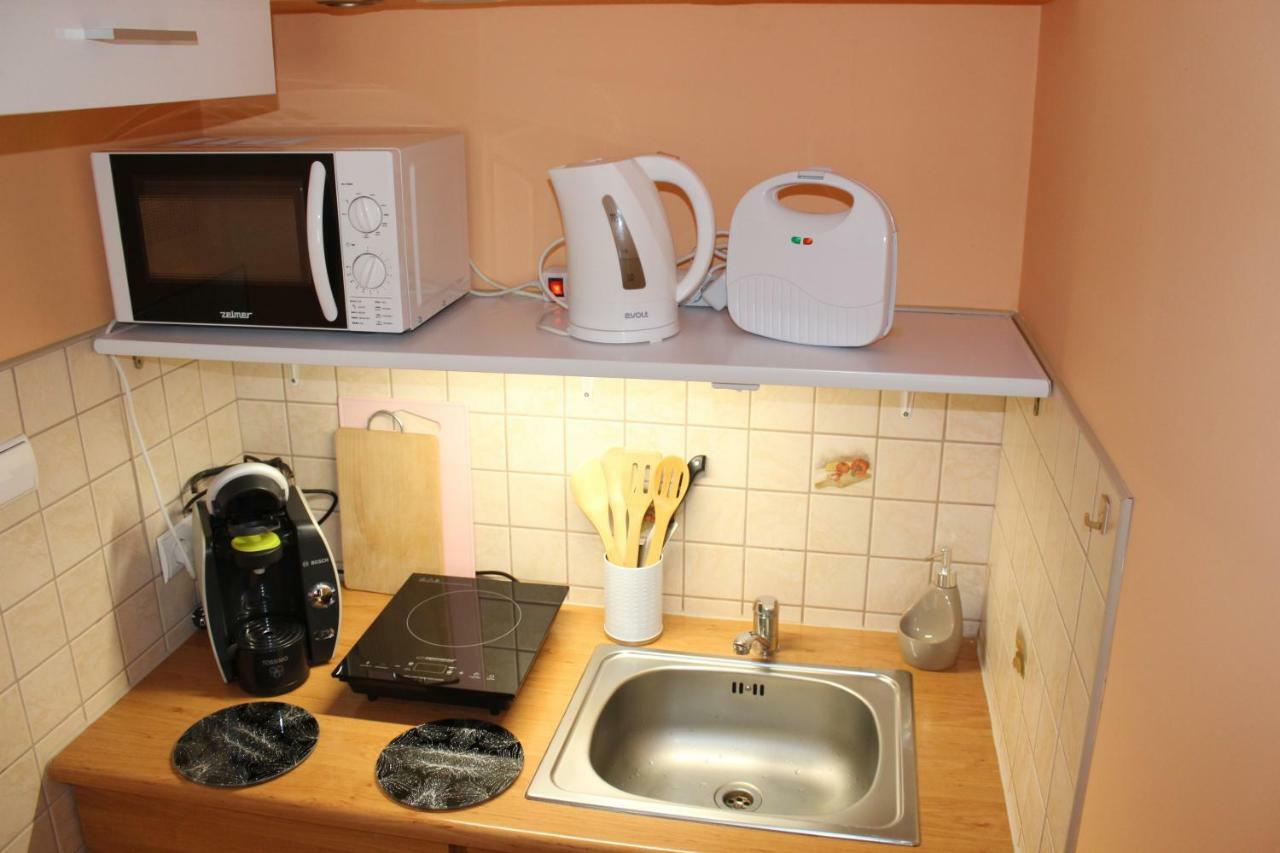 Pokoj Kameralny- De Luxe Z Oddzielnym Wejsciem Karpacz Extérieur photo