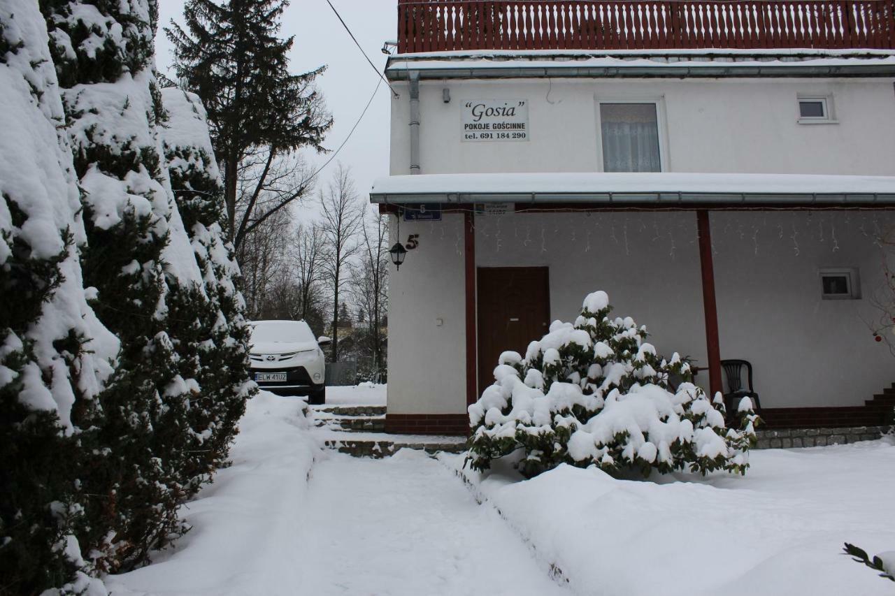 Pokoj Kameralny- De Luxe Z Oddzielnym Wejsciem Karpacz Extérieur photo
